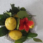 Il Cappero Bed and Breakfast 3*