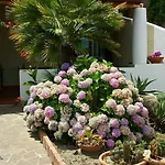 Il Cappero Bed and Breakfast 3*