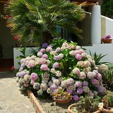 Il Cappero Bed & Breakfast 3*